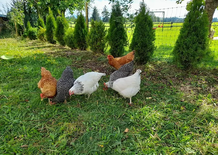 Ferienwohnung Im Alten Milchwerk